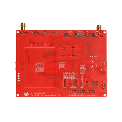 Carte de développement RA-08H LoRaWAN avec RP2040 intégré et écran LCD 1,8" (868 Mhz)